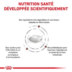 ROYAL CANIN Skin Hairball Gastrointestinal 2kg -ROYAL CANIN Soldes Magasin fre pl ROYAL CANIN Skin Hairball Gastrointestinal 2kg 12438 5