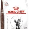 ROYAL CANIN Skin Hairball Gastrointestinal 4kg + Surprise Pour Votre Chat GRATUITES ! -ROYAL CANIN Soldes Magasin fre pl ROYAL CANIN Skin Hairball Gastrointestinal 4kg surprise pour votre chat GRATUITES 25232 1