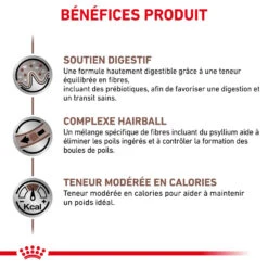 ROYAL CANIN Skin Hairball Gastrointestinal 4kg + Surprise Pour Votre Chat GRATUITES ! -ROYAL CANIN Soldes Magasin fre pl ROYAL CANIN Skin Hairball Gastrointestinal 4kg surprise pour votre chat GRATUITES 25232 6