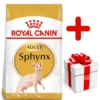 ROYAL CANIN Sphynx Adult 10kg + Surprise Pour Votre Chat GRATUITES ! -ROYAL CANIN Soldes Magasin fre pl ROYAL CANIN Sphynx Adult 10kg surprise pour votre chat GRATUITES 17889 1
