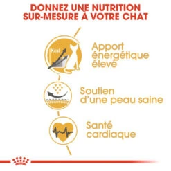 ROYAL CANIN Sphynx Adult 400g 10 ROYAL CANIN Sphynx Adult 400g -ROYAL CANIN Soldes Magasin fre pl ROYAL CANIN Sphynx Adult 400g 15979 4