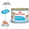 ROYAL CANIN Starter Mousse Mother & Babydog 195gx 12 -ROYAL CANIN Soldes Magasin fre pl ROYAL CANIN Starter Mousse Mother Babydog 195g x 12 30032 1