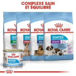 ROYAL CANIN Starter Mousse Mother & Babydog 195gx 12 -ROYAL CANIN Soldes Magasin fre pl ROYAL CANIN Starter Mousse Mother Babydog 195g x 12 30032 5