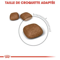ROYAL CANIN Urinary Care 10kg + Surprise Pour Votre ChatGRATUITES ! -ROYAL CANIN Soldes Magasin fre pl ROYAL CANIN Urinary Care 10kg Surprise pour votre chat GRATUITES 25262 4