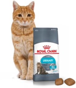 ROYAL CANIN Urinary Care 10kg + Surprise Pour Votre Chat GRATUITES ! -ROYAL CANIN Soldes Magasin fre pl ROYAL CANIN Urinary Care 10kg surprise pour votre chat GRATUITES 17878 5