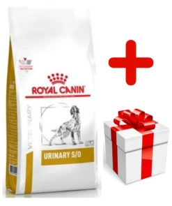 ROYAL CANIN Urinary S/O 7,5kg + Surprise Pour Votre Chien GRATUITES !