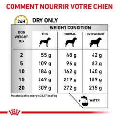 ROYAL CANIN Urinary U/C Low Purine 2kg -ROYAL CANIN Soldes Magasin fre pl ROYAL CANIN Urinary U C Low Purine 2kg 16155 4