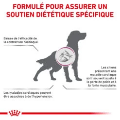 ROYAL CANIN Veterinary Cardiac 2kg -ROYAL CANIN Soldes Magasin fre pl ROYAL CANIN Veterinary Cardiac 2kg 15965 5
