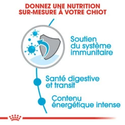 ROYAL CANIN X-Small Puppy 1,5kg 9 ROYAL CANIN X-Small Puppy 1,5kg -ROYAL CANIN Soldes Magasin fre pl ROYAL CANIN X Small Puppy 1 5kg 11360 6