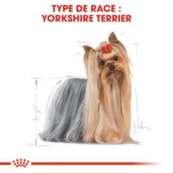ROYAL CANIN Yorkshire Terrier Adult 7,5kg -ROYAL CANIN Soldes Magasin fre pl ROYAL CANIN Yorkshire Terrier Adult 7 5kg 16161 4