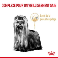 ROYAL CANIN Yorkshire Terrier Adult 8+ 3 Kg -ROYAL CANIN Soldes Magasin fre pl ROYAL CANIN Yorkshire Terrier Adult 8 3 kg 12530 6