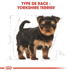 ROYAL CANIN Yorkshire Terrier Puppy 1,5kg -ROYAL CANIN Soldes Magasin fre pl ROYAL CANIN Yorkshire Terrier Puppy 1 5kg 9597 3