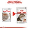 Royal Canin Ageing +12 12x85g -ROYAL CANIN Soldes Magasin fre pl Royal Canin Ageing 12 12x85g 9103 7