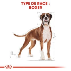 Royal Canin Boxer Adult 12kg -ROYAL CANIN Soldes Magasin fre pl Royal Canin Boxer Adult 12kg 9122 3