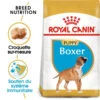 Royal Canin Boxer Puppy 12kg -ROYAL CANIN Soldes Magasin fre pl Royal Canin Boxer Puppy 12kg 9124 1