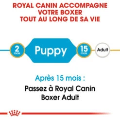 Royal Canin Boxer Puppy 12kg -ROYAL CANIN Soldes Magasin fre pl Royal Canin Boxer Puppy 12kg 9124 4