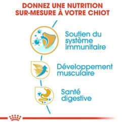 Royal Canin Boxer Puppy 12kg -ROYAL CANIN Soldes Magasin fre pl Royal Canin Boxer Puppy 12kg 9124 5