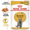 Royal Canin British Shorthair Adult 12x85g 2 Royal Canin British Shorthair Adult 12x85g -ROYAL CANIN Soldes Magasin fre pl Royal Canin British Shorthair Adult 12x85g 9090 1