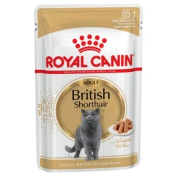 Royal Canin British Shorthair Adult 12x85g -ROYAL CANIN Soldes Magasin fre pl Royal Canin British Shorthair Adult 12x85g 9090 2