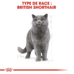 Royal Canin British Shorthair Adult 12x85g -ROYAL CANIN Soldes Magasin fre pl Royal Canin British Shorthair Adult 12x85g 9090 4