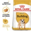 Royal Canin Bulldog Adult 12kg -ROYAL CANIN Soldes Magasin fre pl Royal Canin Bulldog Adult 12kg 9130 1