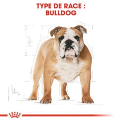 Royal Canin Bulldog Adult 12kg 10 Royal Canin Bulldog Adult 12kg -ROYAL CANIN Soldes Magasin fre pl Royal Canin Bulldog Adult 12kg 9130 3