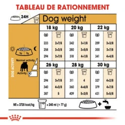 Royal Canin Bulldog Adult 12kg 13 Royal Canin Bulldog Adult 12kg -ROYAL CANIN Soldes Magasin fre pl Royal Canin Bulldog Adult 12kg 9130 6