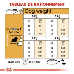 Royal Canin Cavalier King Charles Spaniel Adult 1,5kg -ROYAL CANIN Soldes Magasin fre pl Royal Canin Cavalier King Charles Spaniel Adult 1 5kg 9143 6
