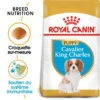 Royal Canin Cavalier King Charles Spaniel Puppy 1,5kg -ROYAL CANIN Soldes Magasin fre pl Royal Canin Cavalier King Charles Spaniel Puppy 1 5kg 9177 1