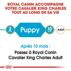 Royal Canin Cavalier King Charles Spaniel Puppy 1,5kg -ROYAL CANIN Soldes Magasin fre pl Royal Canin Cavalier King Charles Spaniel Puppy 1 5kg 9177 8