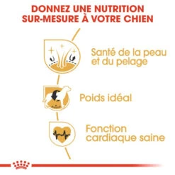 Royal Canin Cocker Spaniel Adult 12kg -ROYAL CANIN Soldes Magasin fre pl Royal Canin Cocker Spaniel Adult 12kg 9147 4