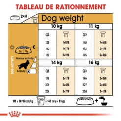 Royal Canin Cocker Spaniel Adult 12kg -ROYAL CANIN Soldes Magasin fre pl Royal Canin Cocker Spaniel Adult 12kg 9147 5