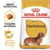 Royal Canin Dachshund Adult 7,5kg 1 Royal Canin Dachshund Adult 7,5kg -ROYAL CANIN Soldes Magasin fre pl Royal Canin Dachshund Adult 7 5kg 9149 1