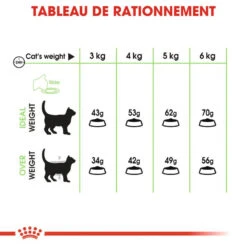 Royal Canin Digestive Care 400g 13 Royal Canin Digestive Care 400g -ROYAL CANIN Soldes Magasin fre pl Royal Canin Digestive Care 400g 9166 6