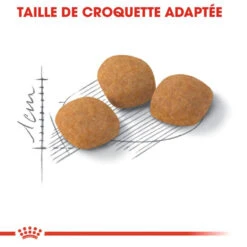 Royal Canin Exigent Protein Preference 42 10kg 11 Royal Canin Exigent Protein Preference 42 10kg -ROYAL CANIN Soldes Magasin fre pl Royal Canin Exigent Protein Preference 42 10kg 9176 3