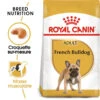Royal Canin French Bulldog Adult 9kg -ROYAL CANIN Soldes Magasin fre pl Royal Canin French Bulldog Adult 9kg 9161 3