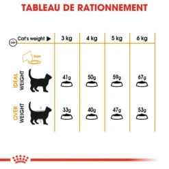 Royal Canin Hair&Skin Care 2kg -ROYAL CANIN Soldes Magasin fre pl Royal Canin Hair Skin Care 2kg 16021 5