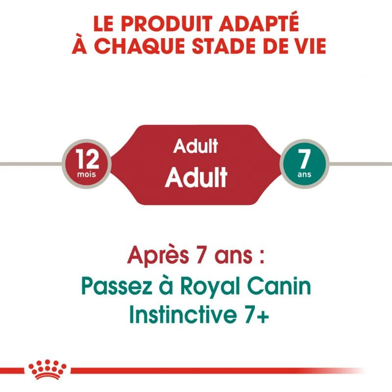 Royal Canin Instinctive 12x85g 5 Royal Canin Instinctive 12x85g – Image 3
