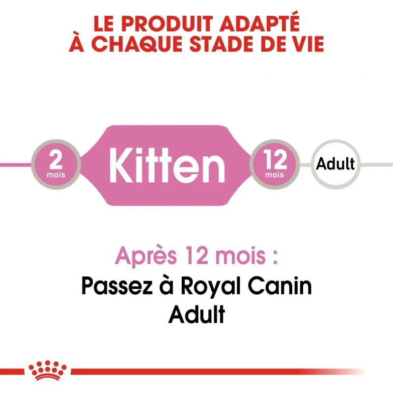 Royal Canin Kitten Pâté 12x85g 6 Royal Canin Kitten Pâté 12x85g – Image 4