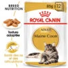 Royal Canin Maine Coon Adult 12x85g 2 Royal Canin Maine Coon Adult 12x85g -ROYAL CANIN Soldes Magasin fre pl Royal Canin Maine Coon Adult 12x85g 9089 1