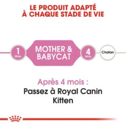 Royal Canin Mother&Babycat 2kg 12 Royal Canin Mother&Babycat 2kg -ROYAL CANIN Soldes Magasin fre pl Royal Canin Mother Babycat 2kg 9113 8