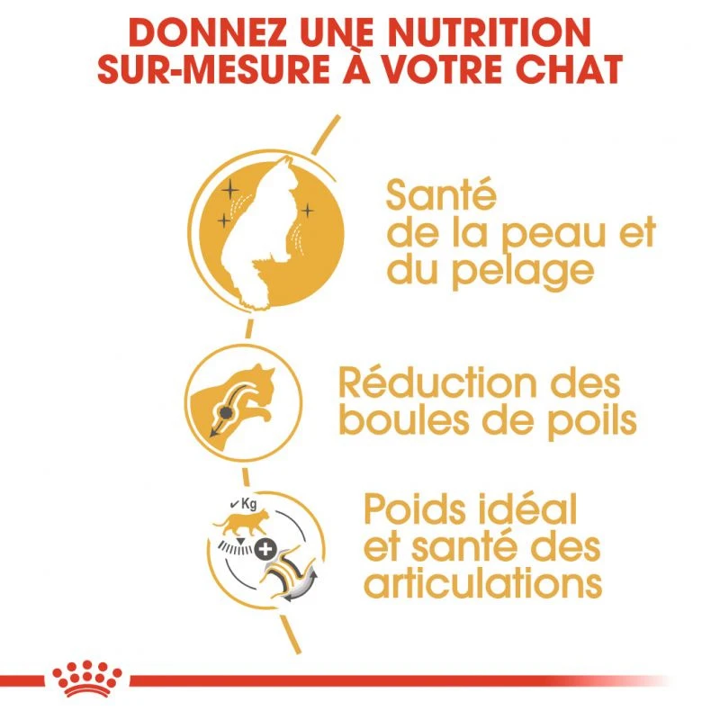 Royal Canin Norwegian Forest Cat Adult 400g 5 Royal Canin Norwegian Forest Cat Adult 400g – Image 3