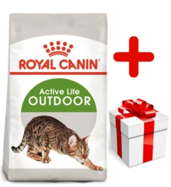 Royal Canin Outdoor 10kg + Surprise Pour Votre Chat GRATUITES !