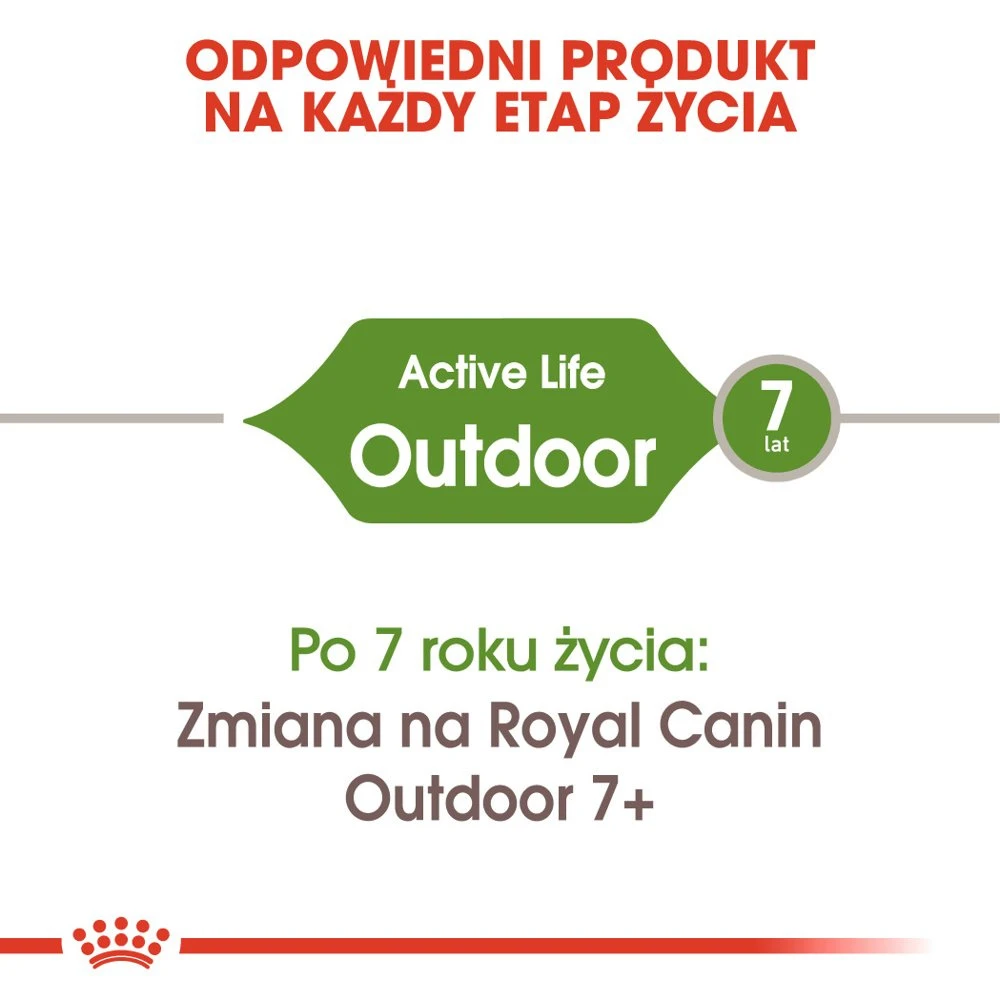 Royal Canin Outdoor 10kg + Surprise Pour Votre Chat GRATUITES ! 6 Royal Canin Outdoor 10kg + Surprise Pour Votre Chat GRATUITES ! – Image 4