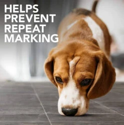 Simple Solution Platinum Destructeur D'odeurs 500 Ml 13 Simple Solution Platinum Destructeur D'odeurs 500 Ml -ROYAL CANIN Soldes Magasin fre pl Simple Solution Platinum Destructeur dodeurs 500 ml 26245 6