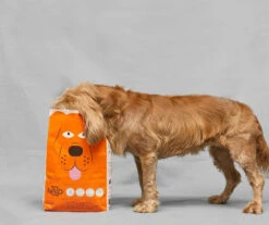 TOMOJO CROQUETTES CHIEN ADULTE 2kg 9 TOMOJO CROQUETTES CHIEN ADULTE 2kg -ROYAL CANIN Soldes Magasin fre pl TOMOJO CROQUETTES CHIEN ADULTE 2kg 12302 3