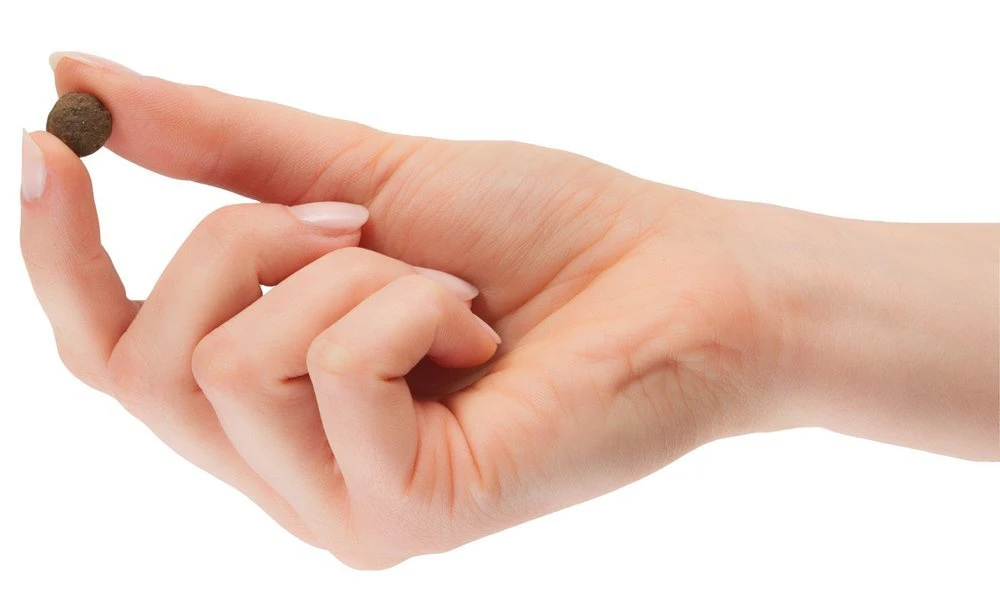 TOMOJO CROQUETTES CHIEN ADULTE 2kg 6 TOMOJO CROQUETTES CHIEN ADULTE 2kg – Image 4