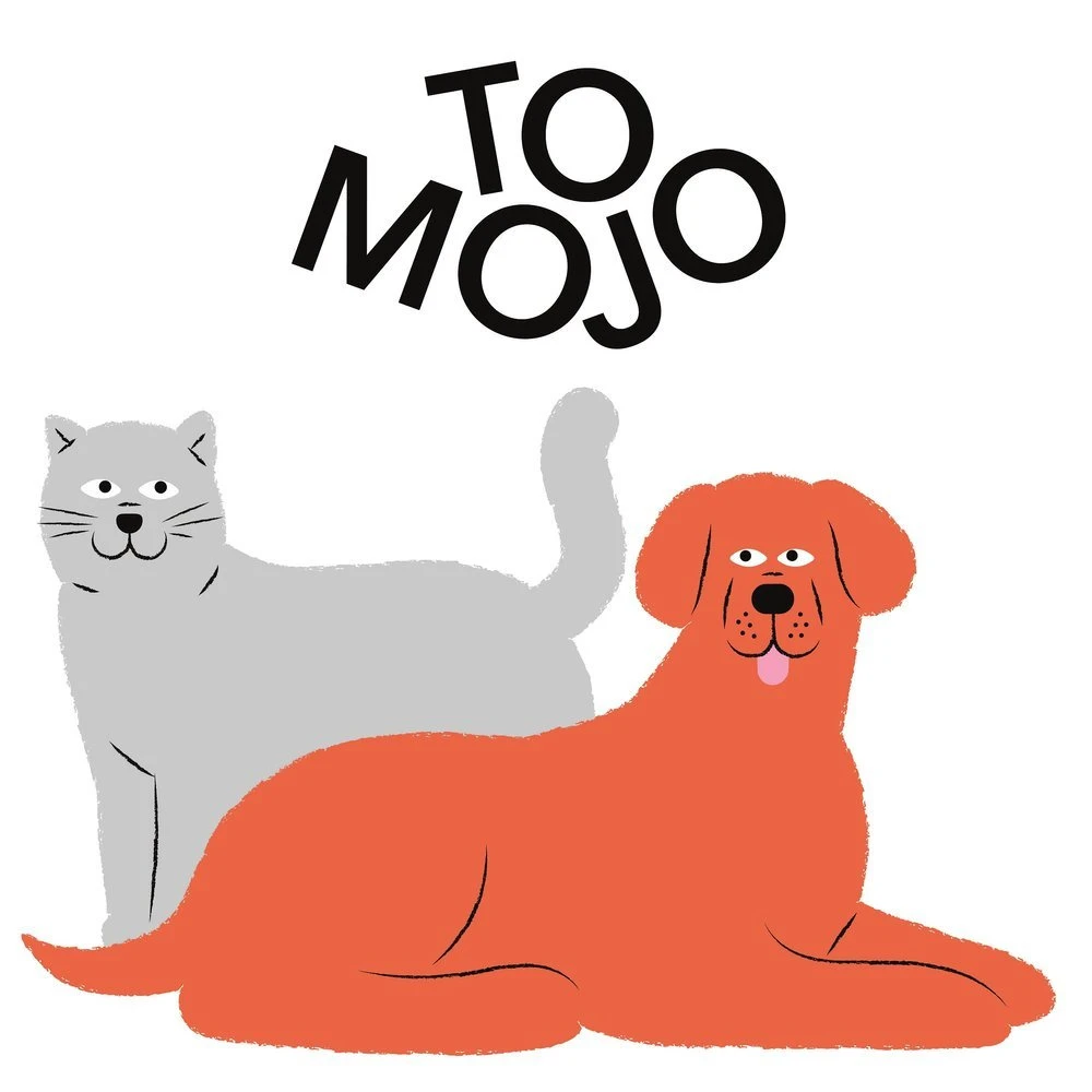 TOMOJO CROQUETTES CHIEN ADULTE 2kg 7 TOMOJO CROQUETTES CHIEN ADULTE 2kg – Image 5