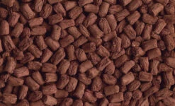 Tetra Tortoise 1L -ROYAL CANIN Soldes Magasin fre pl Tetra Tortoise 1L 10307 2