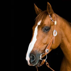 TickLess Cheval Sans Tique - Marron -ROYAL CANIN Soldes Magasin fre pl TickLess Cheval sans tique marron 26621 3